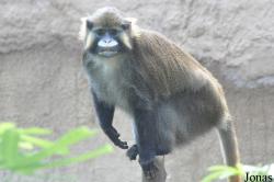 ZOOM Erlebniswelt