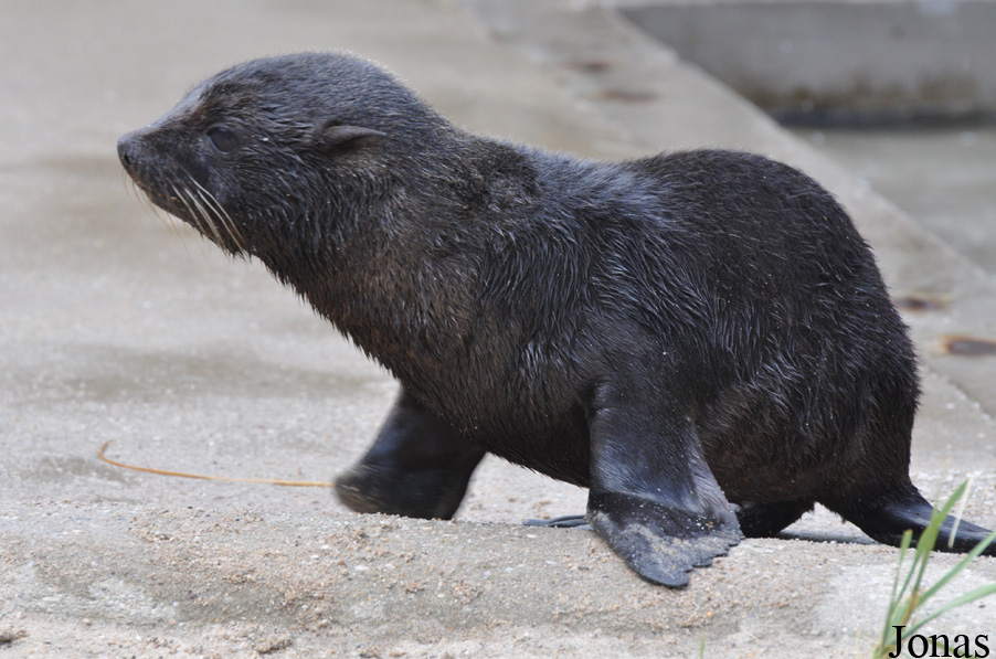 Aqua Zoo Friesland