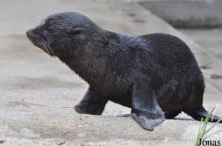 Aqua Zoo Friesland