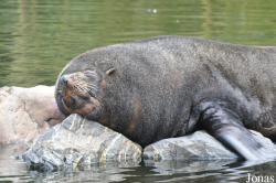 Aqua Zoo Friesland