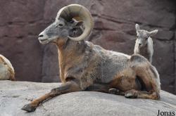 Burgers' Zoo