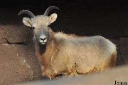 Burgers' Zoo
