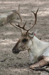 Burgers' Zoo
