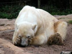 Zoo d'Amnéville