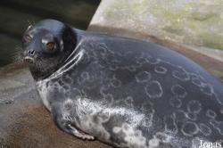 Burgers' Zoo