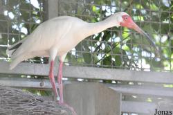 Tier- und Vogelpark Forst
