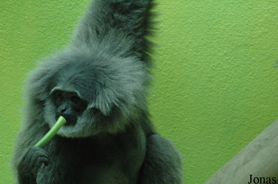 Münchner Tierpark Hellabrunn