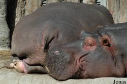 Zoo Karlsruhe