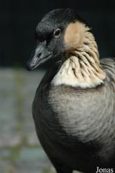 Zoo Karlsruhe