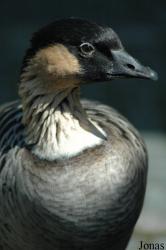 Zoo Karlsruhe