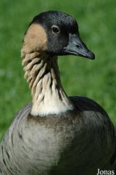 Zoo Karlsruhe