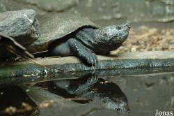 Zoo Landau in der Pfalz
