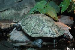 Zoo Landau in der Pfalz