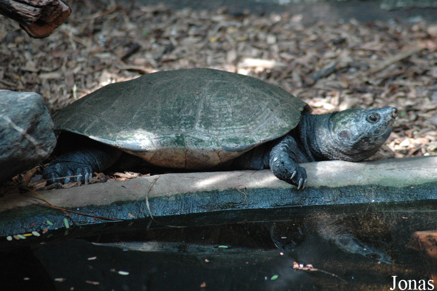 Zoo Landau in der Pfalz