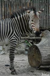 Zoo Landau in der Pfalz