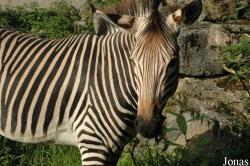 Zoo Landau in der Pfalz