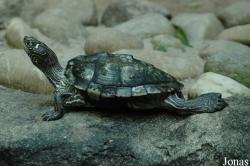 Zoo Landau in der Pfalz