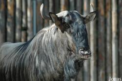 Zoo Landau in der Pfalz
