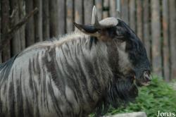 Zoo Landau in der Pfalz