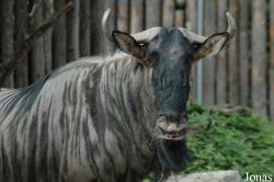 Zoo Landau in der Pfalz