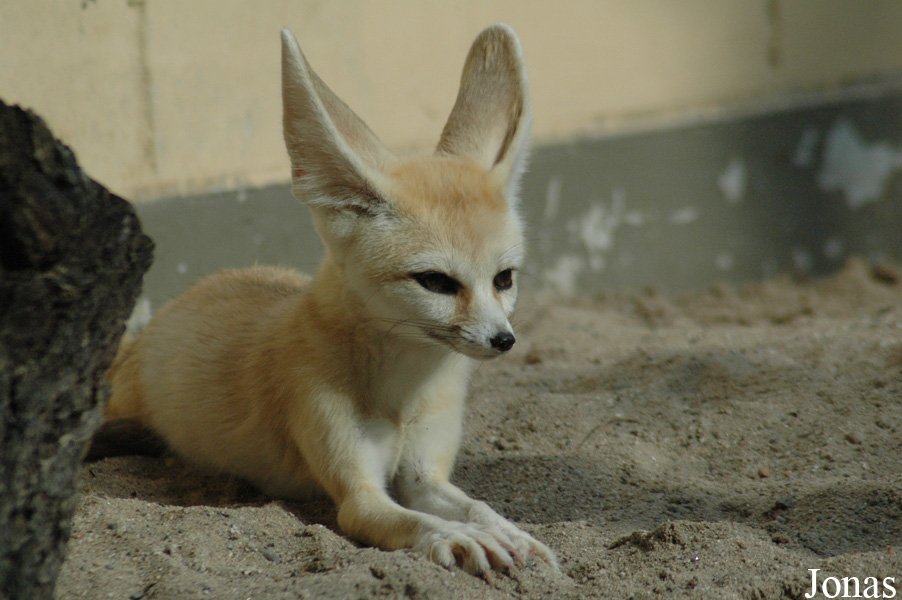 Zoo Landau in der Pfalz