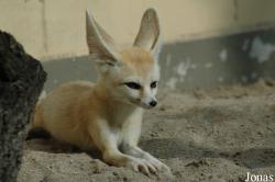 Zoo Landau in der Pfalz