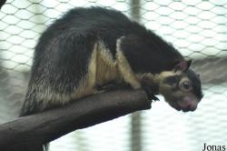 Rare Species Conservation Centre