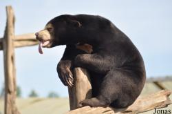 Rare Species Conservation Centre