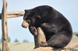 Rare Species Conservation Centre