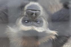 Rare Species Conservation Centre