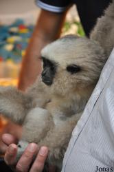 Zoo Schwerin