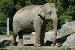Münchner Tierpark Hellabrunn