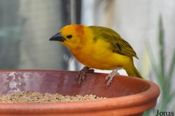 Tierpark Hagenbeck