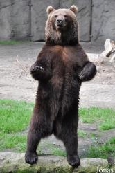 Tierpark Hagenbeck