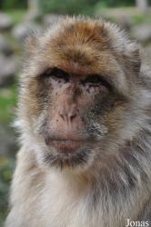 Tierpark Neumünster
