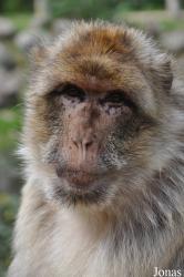 Tierpark Neumünster