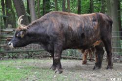 Tierpark Neumünster