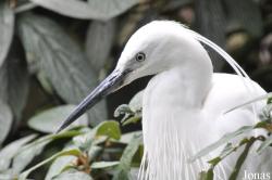 Tierpark Neumünster