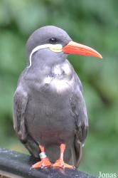 Zoologischer Garten Rostock