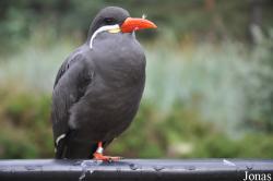 Zoologischer Garten Rostock