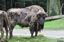 Zoologischer Garten Rostock