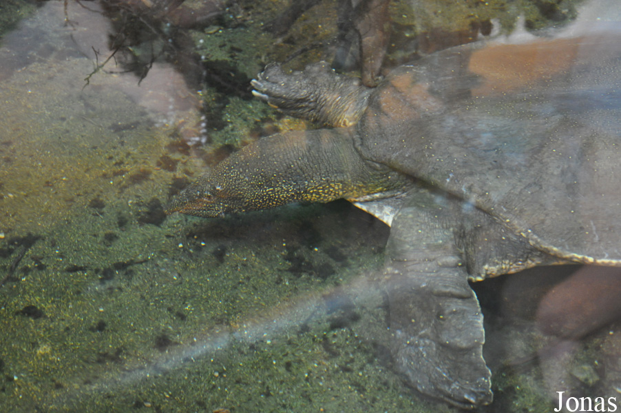 Zoologischer Garten Rostock