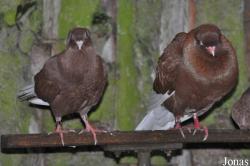Zoologischer Garten Rostock