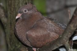 Zoologischer Garten Rostock