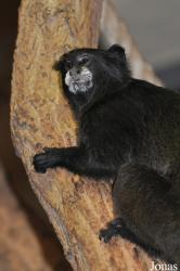 Zoologischer Garten Rostock
