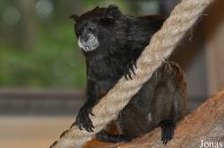 Zoologischer Garten Rostock