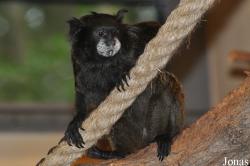 Zoologischer Garten Rostock