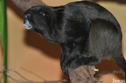 Zoologischer Garten Rostock