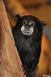 Zoologischer Garten Rostock