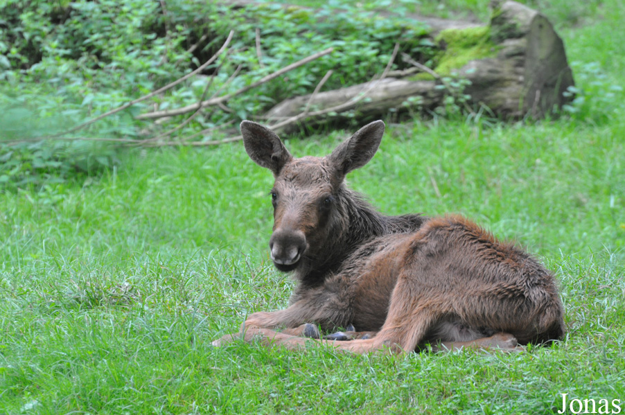 Zoologischer Garten Rostock